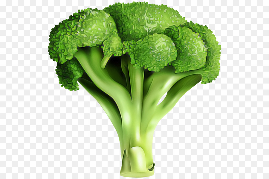 Brocoli，Légumes PNG