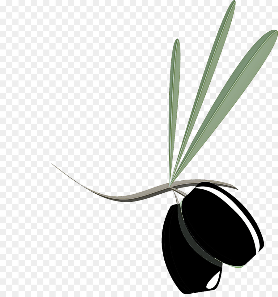 Feuille，Plante PNG