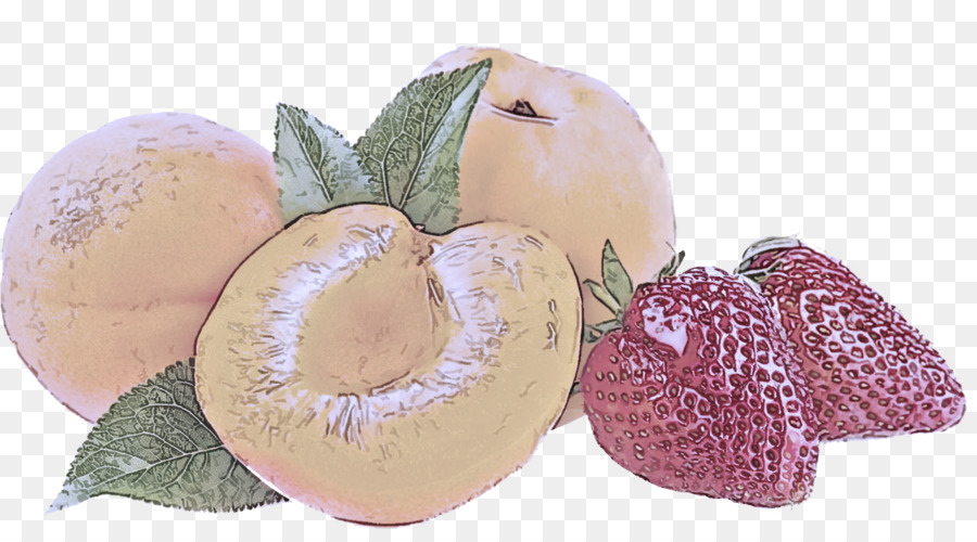 Fruits，Feuille PNG