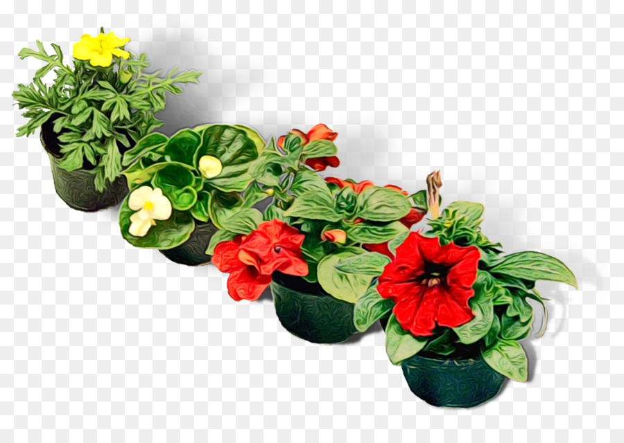 Fleurs En Pot，Fleurs PNG