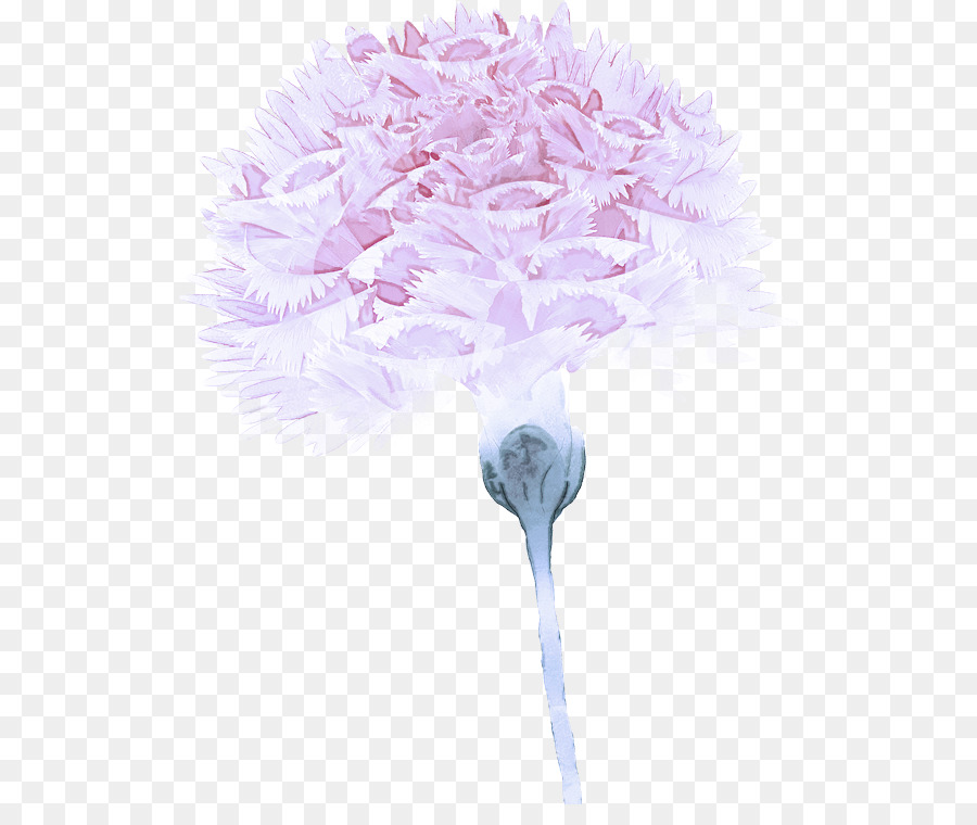 Fleur Rose，Fleurir PNG