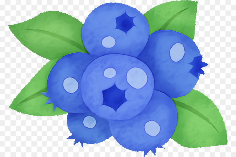 Bleuets，Bleu PNG