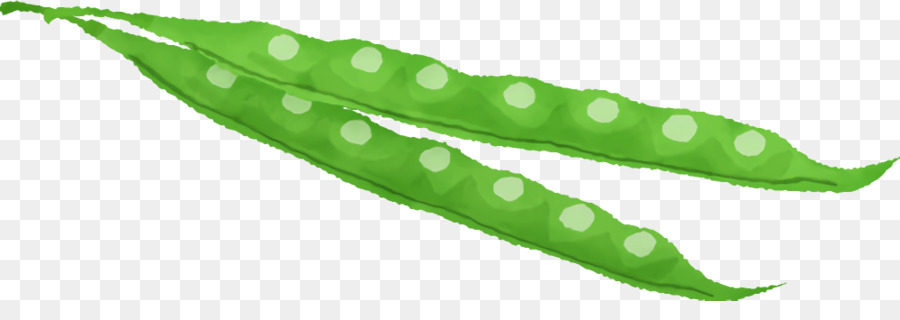 Tige De La Plante，Feuille PNG