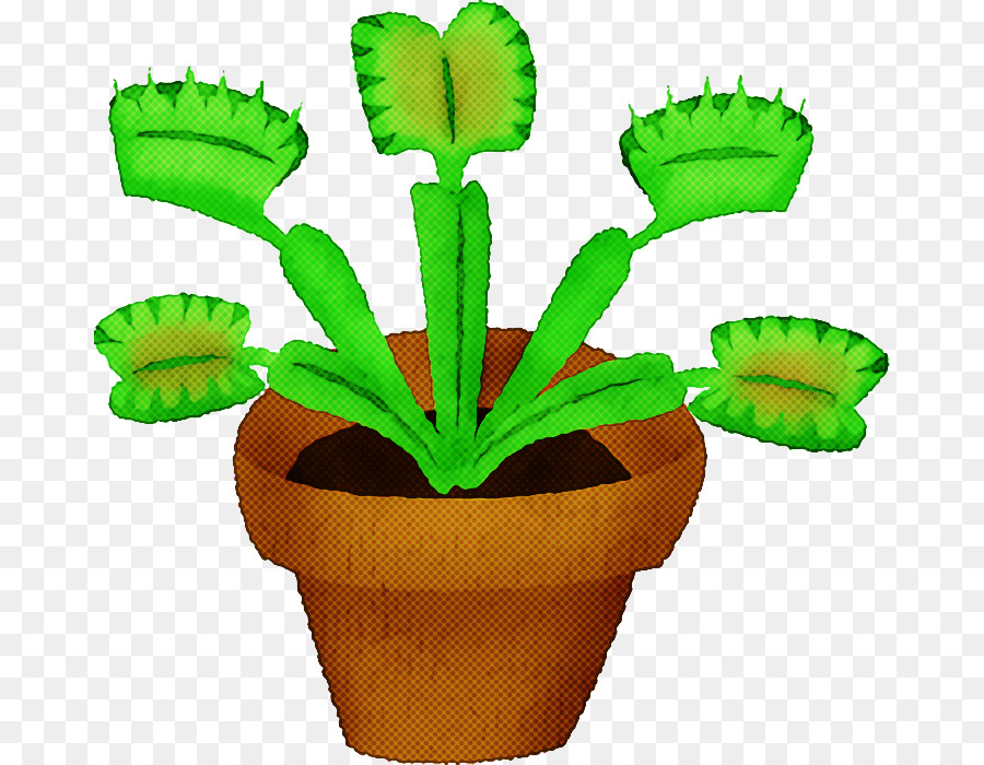 Tige De La Plante，Flowerpot PNG