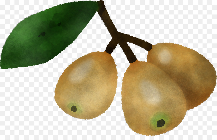 Olives，Vert PNG