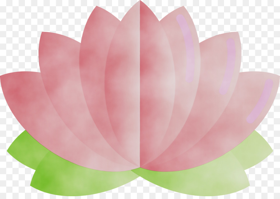 Fleurs De Lotus，Rose PNG