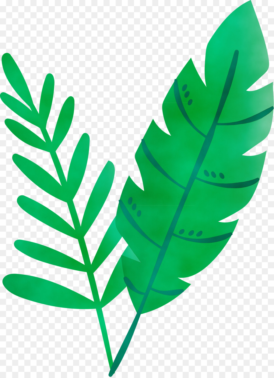 Feuille，Nature PNG