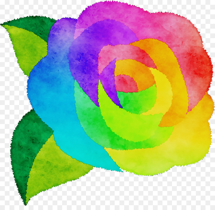 Arc En Ciel Rose，Les Roses De Jardin PNG