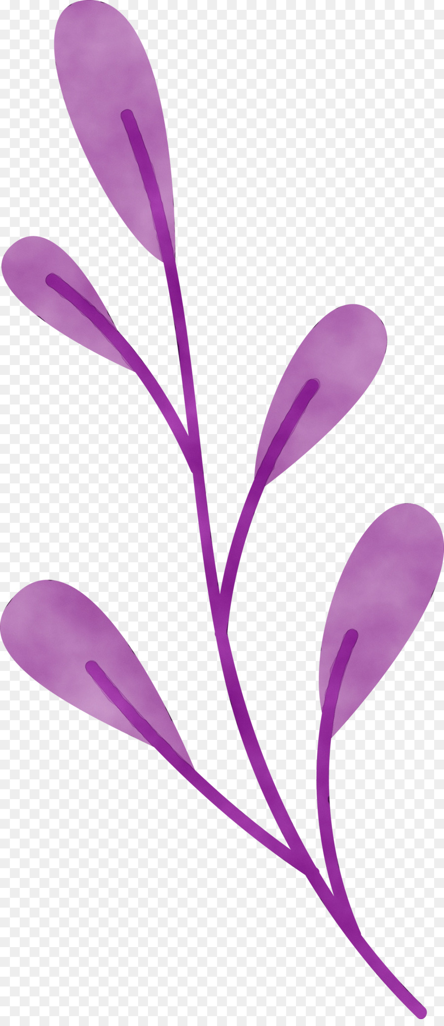 Pétale，Violet PNG