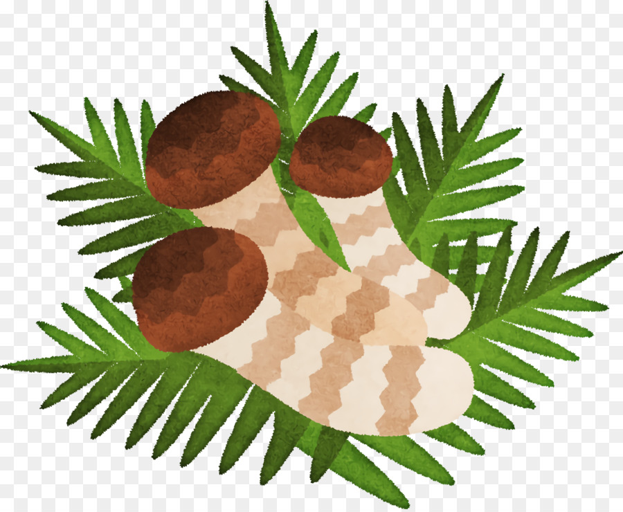 Fruits， PNG