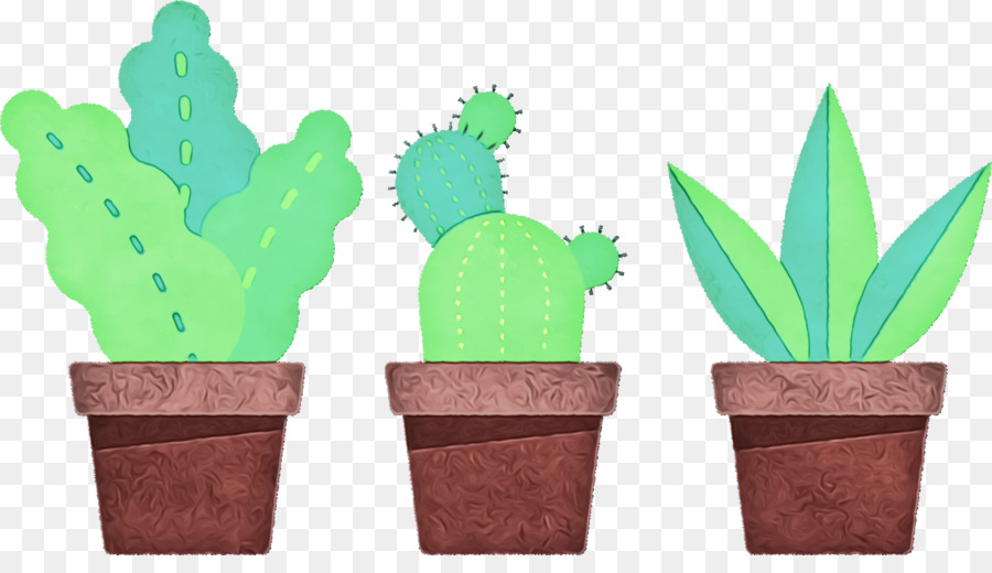 Plantes En Pot，Plantes Succulentes PNG