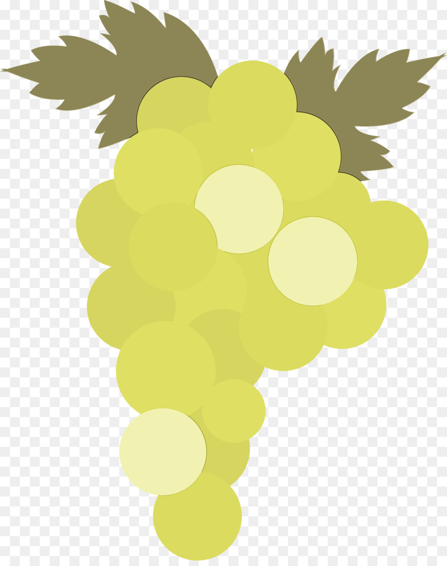 Raisins，Fruit PNG