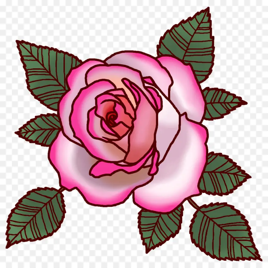 Roses De Jardin，Rose Du Chou PNG