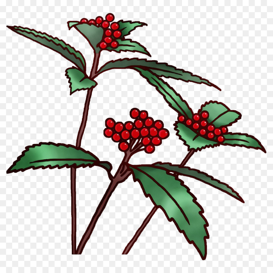 Fruits Rouges，Feuilles PNG