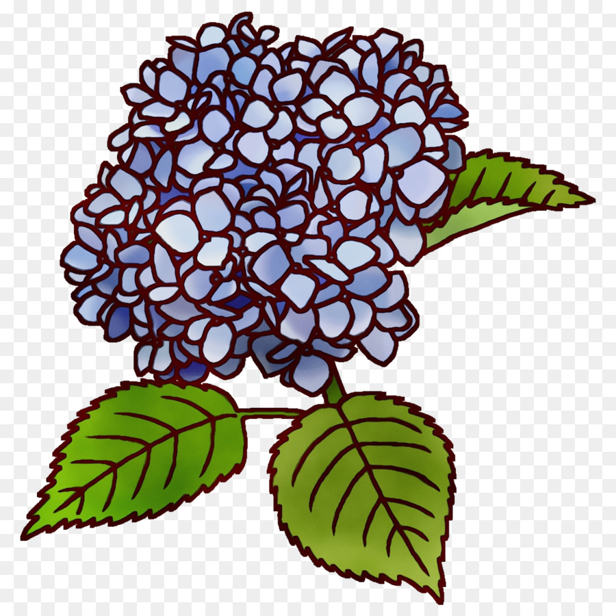 Design Floral，Tige De La Plante PNG