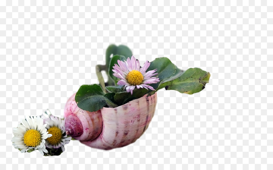 Fleur，Flowerpot PNG