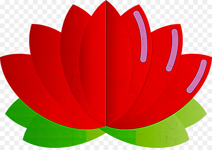 Lotus Rose，Lotus PNG