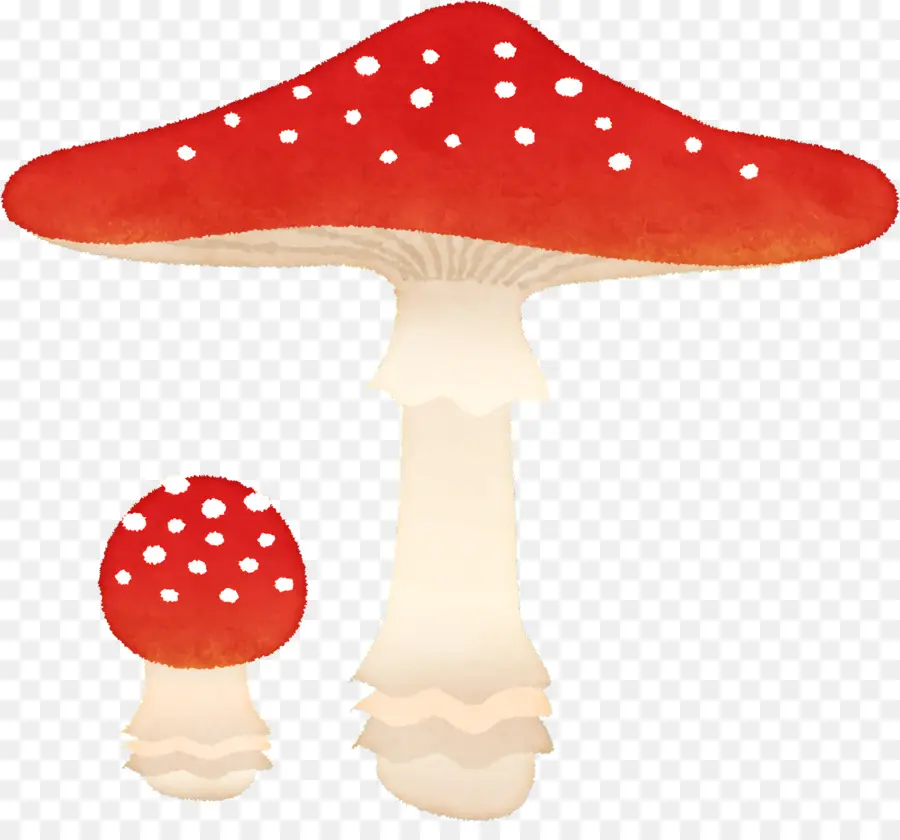 Champignons Colorés，Champignons PNG