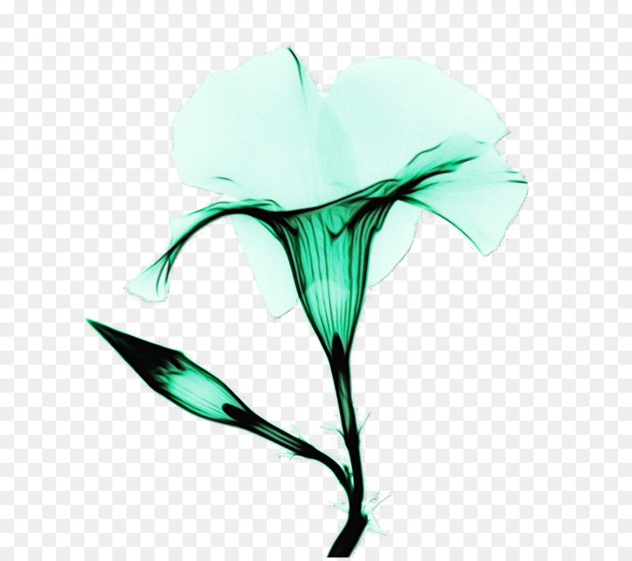 Fleur Verte，Usine PNG