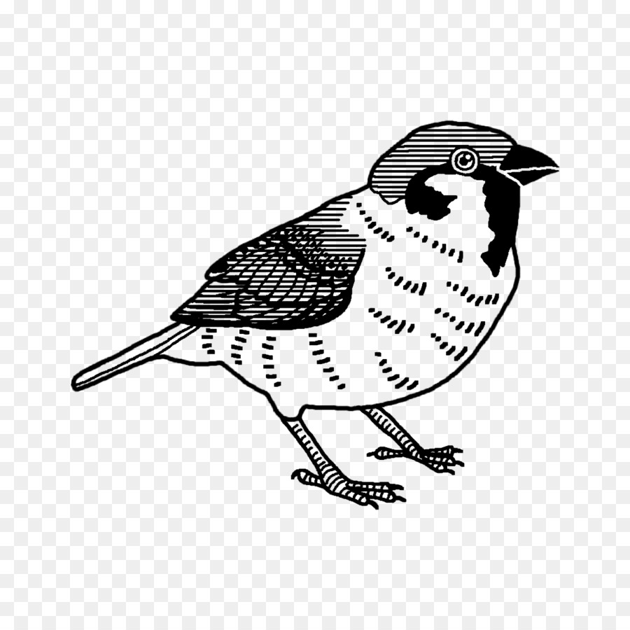 Illustration D'oiseau，Moineau PNG