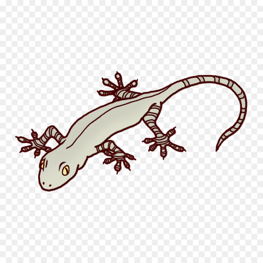 Lézard，Rouge PNG