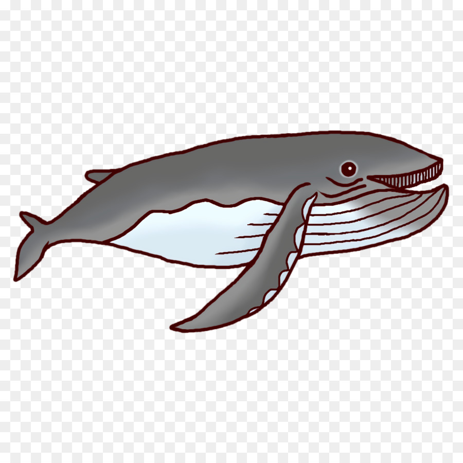 Baleine Bleue，Océan PNG