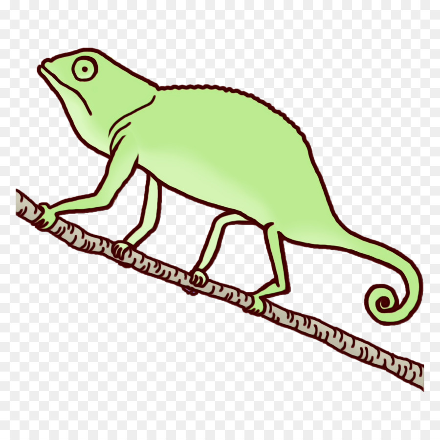 Caméléon，Lézard PNG