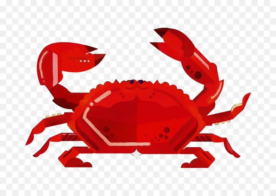 Le Crabe Dormeur，Crabe D'eau Douce PNG