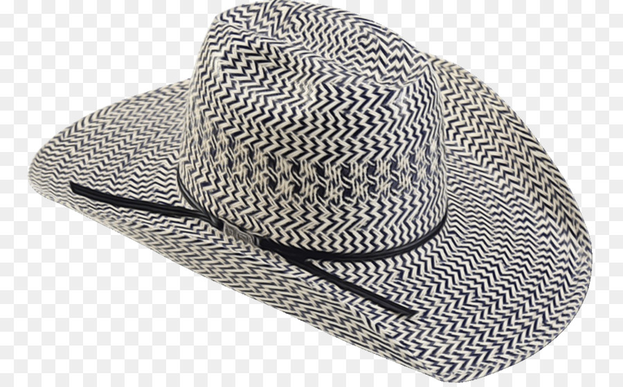 Fedora， PNG