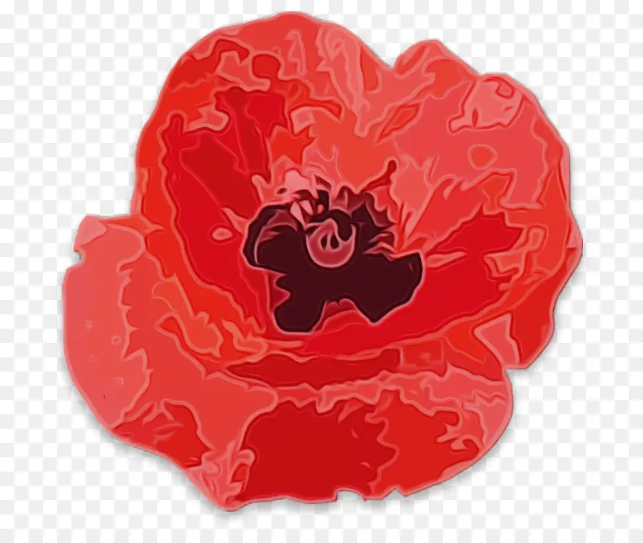 Fleur Rouge，Fleurir PNG