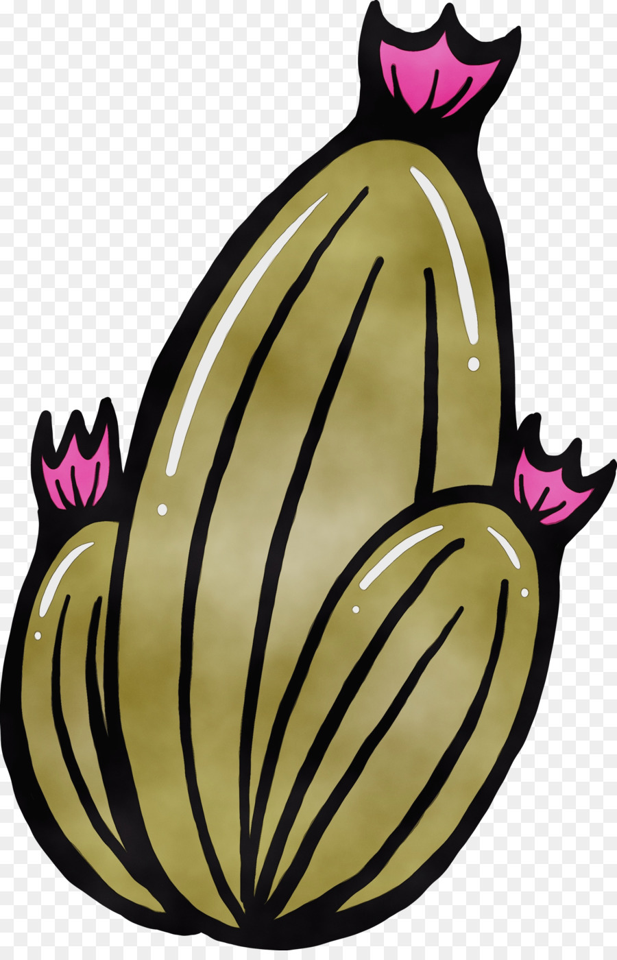 Cactus，Succulent PNG