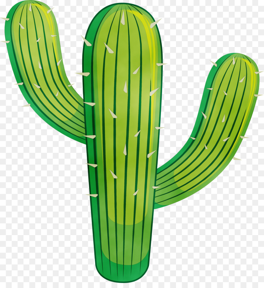Cactus，Feuille PNG