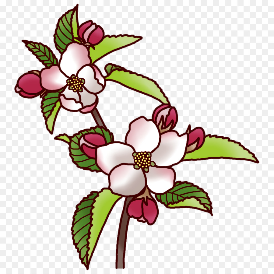 Fleurs Roses，Fleurir PNG