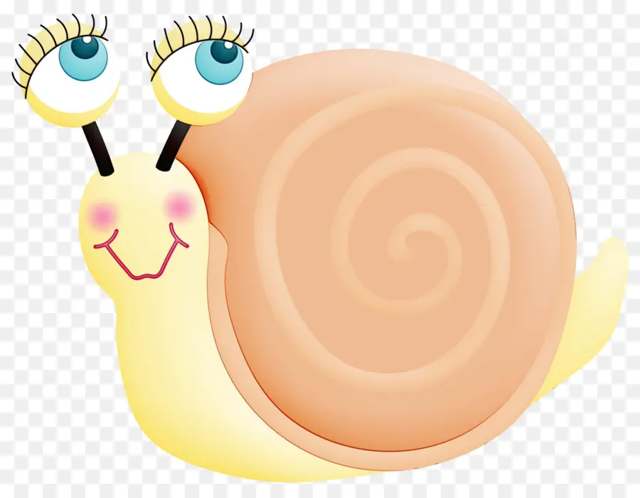 Escargot Souriant，Coquille PNG