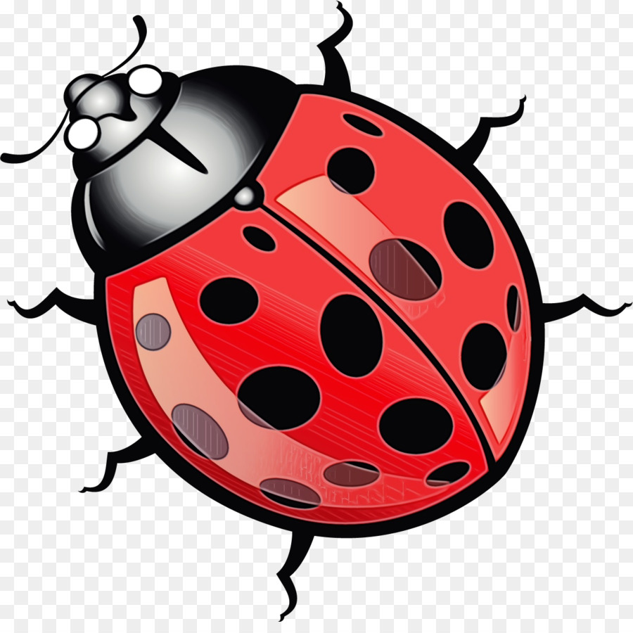 Coccinelle，Bogue PNG