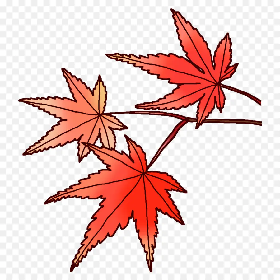 Feuilles D'automne，Automne PNG