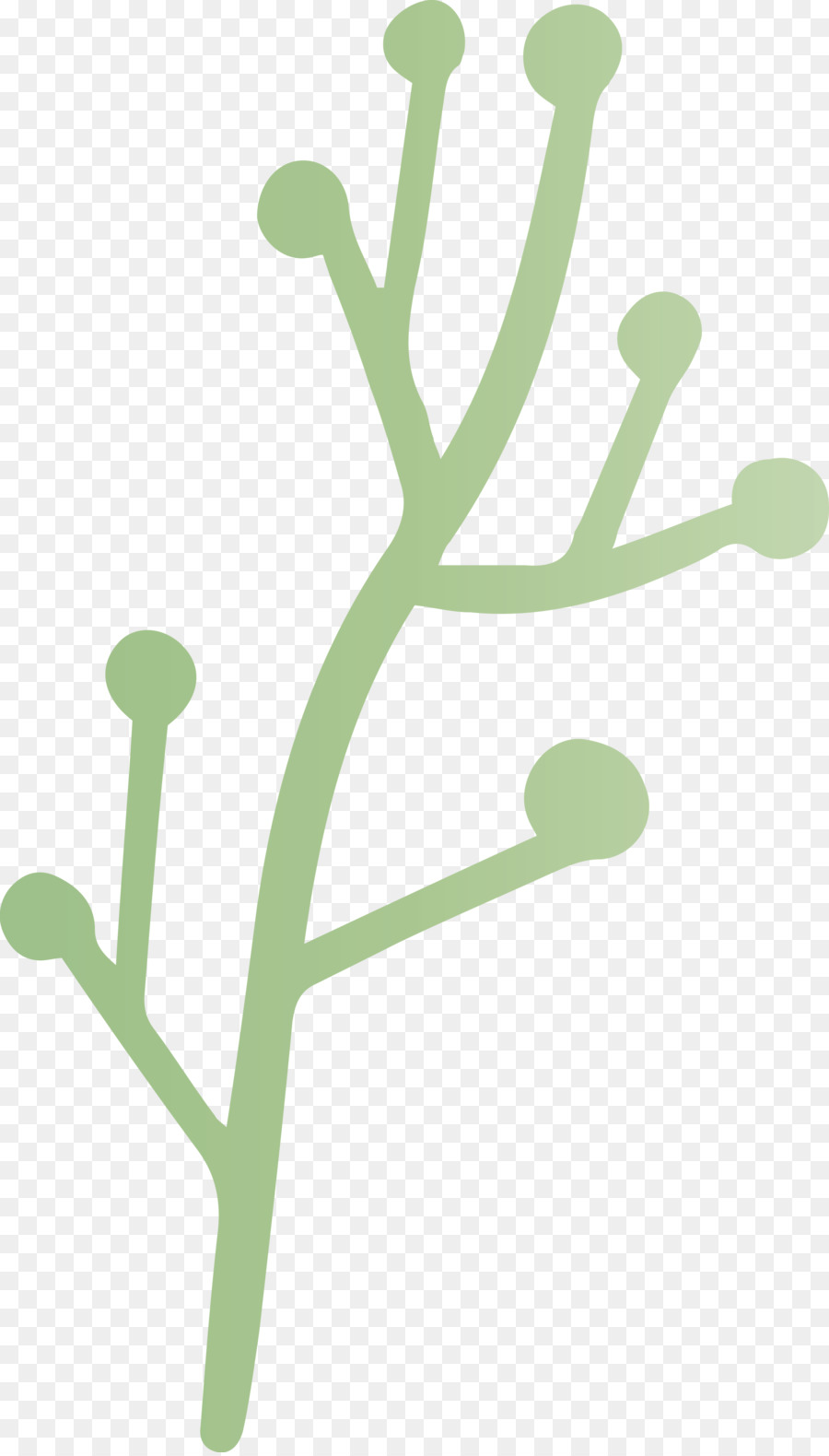 Branche D'oranger，Feuilles PNG