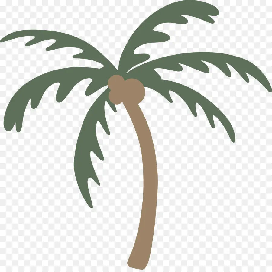Palmiers，Tige Végétale PNG