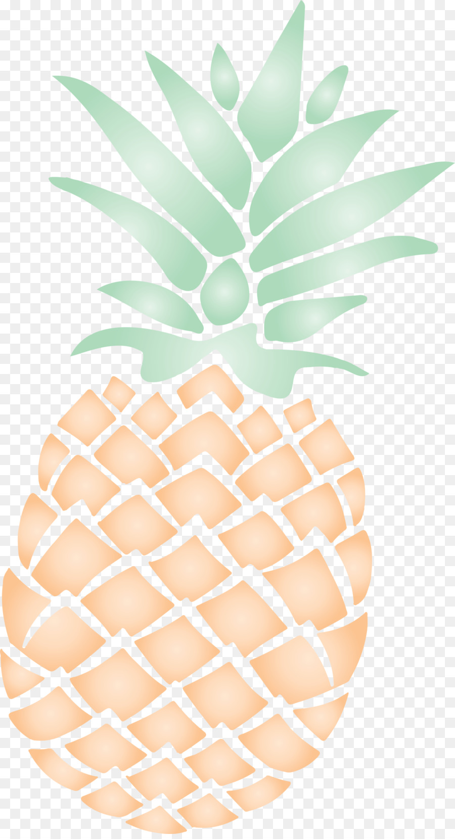 Ananas，Tropical PNG