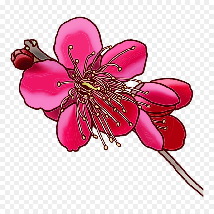 Couper Les Fleurs，Art Floral PNG