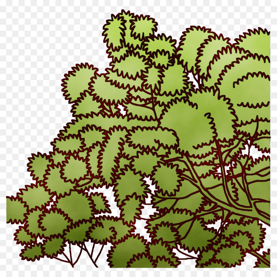 Feuille，Fleur PNG