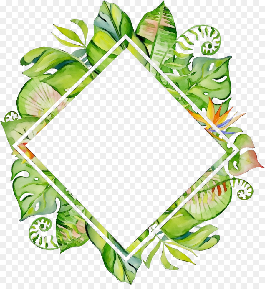 Design Floral，Tige De La Plante PNG