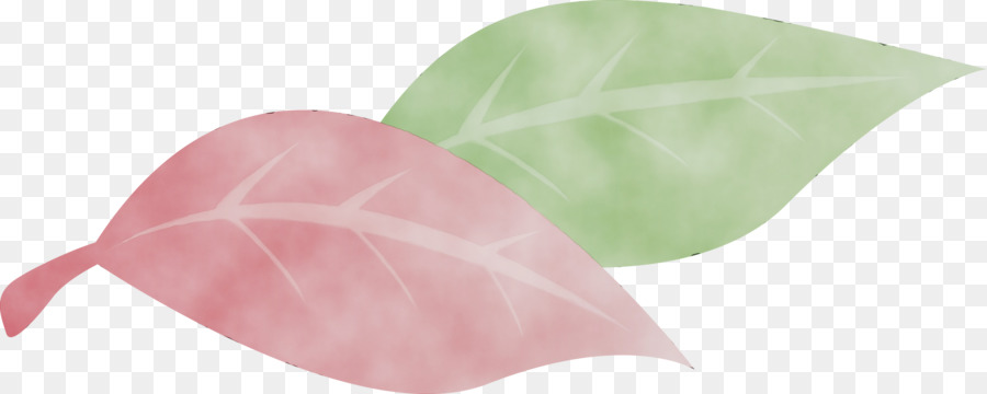 Feuille，Rose M PNG