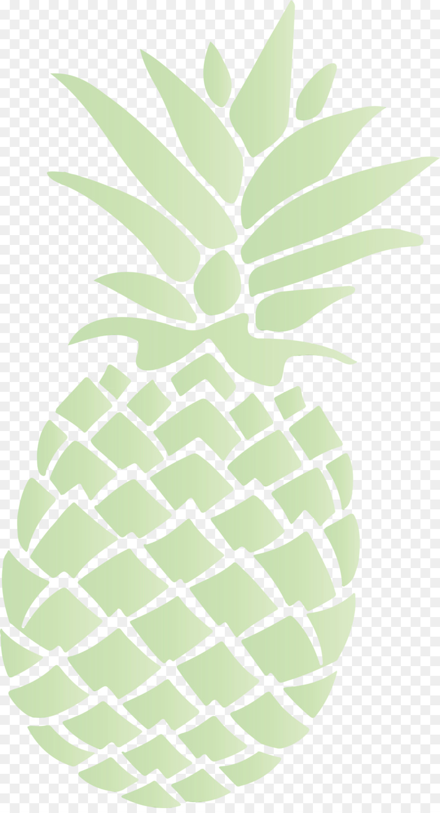 Ananas，Tropical PNG