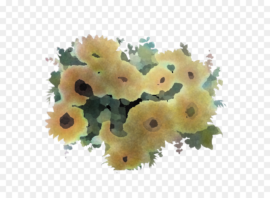 Fleur，Plantes PNG