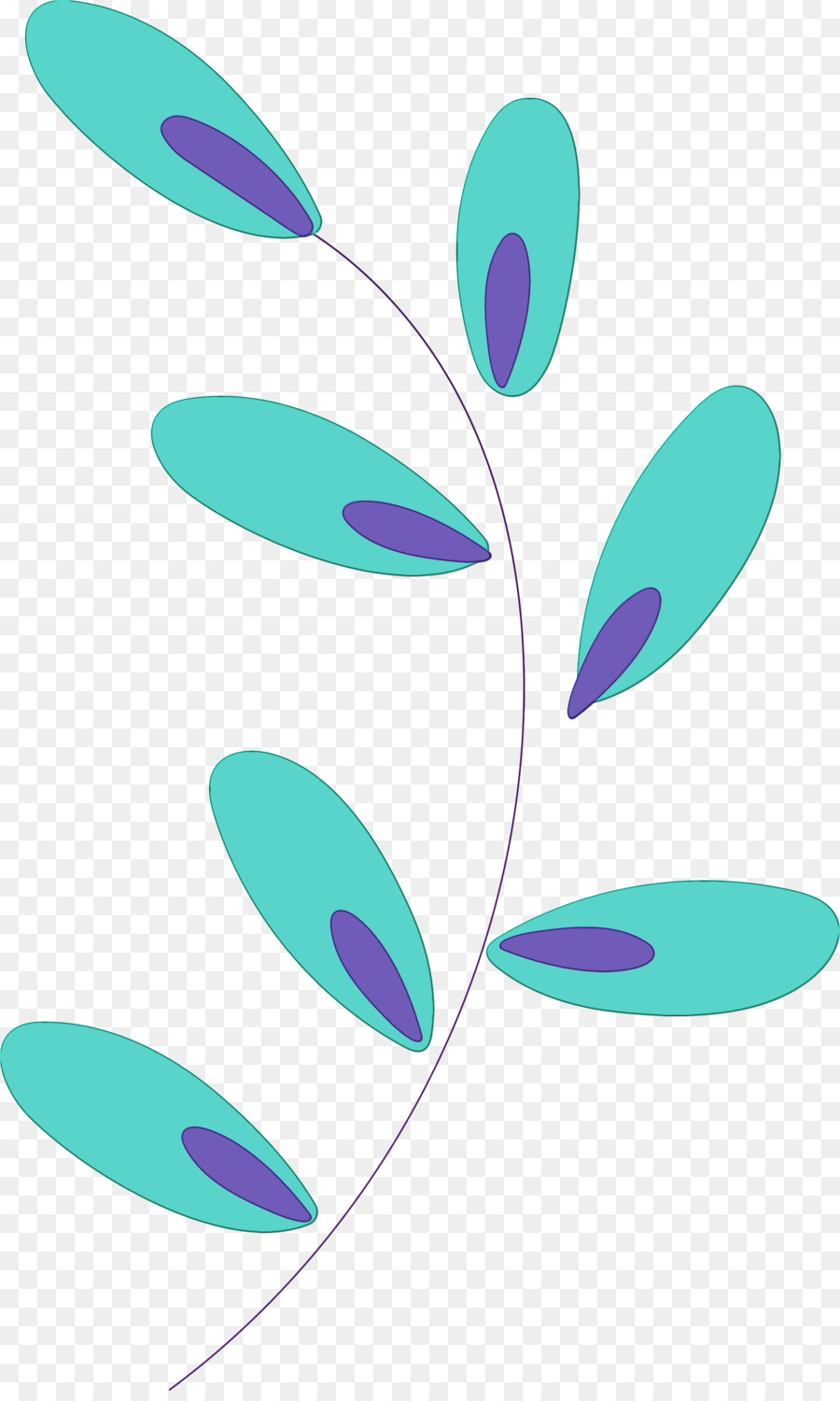 Feuilles De Sarcelle，Usine PNG