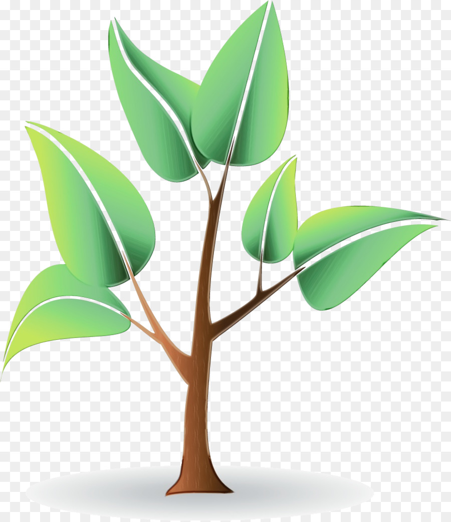 Arbre Vert，Feuilles PNG