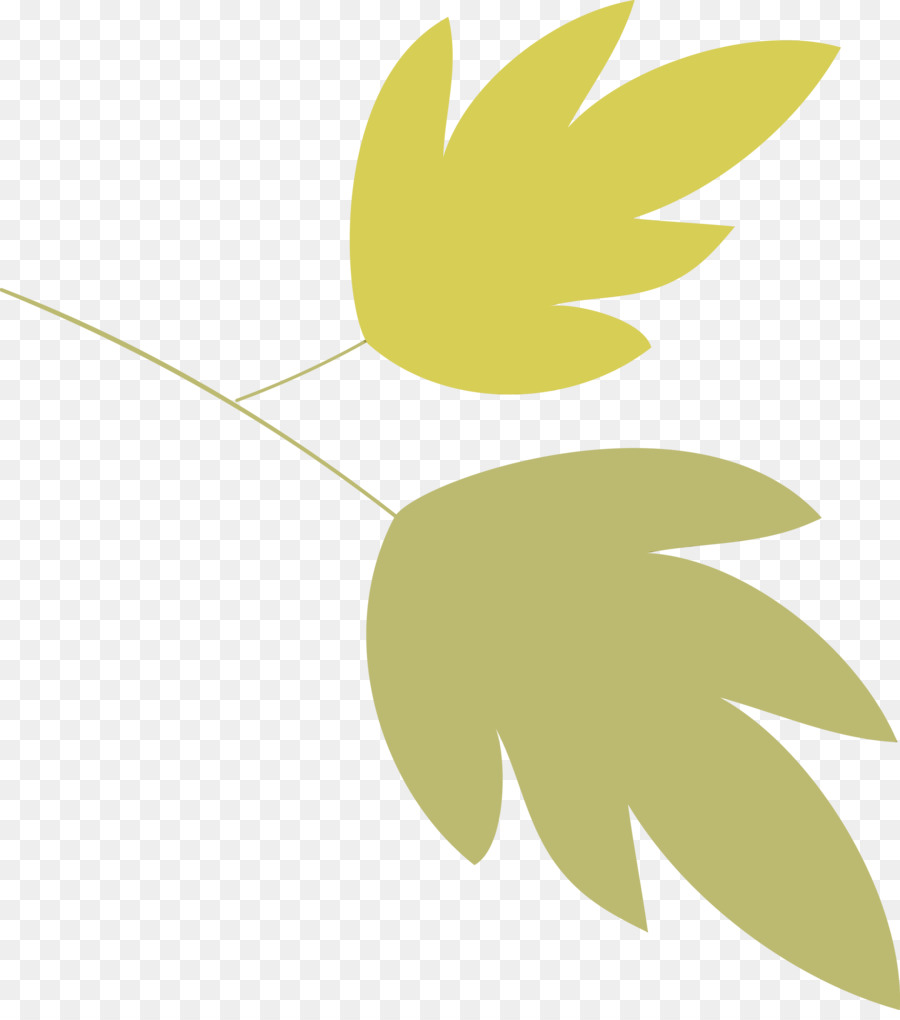 Feuille，Usine PNG