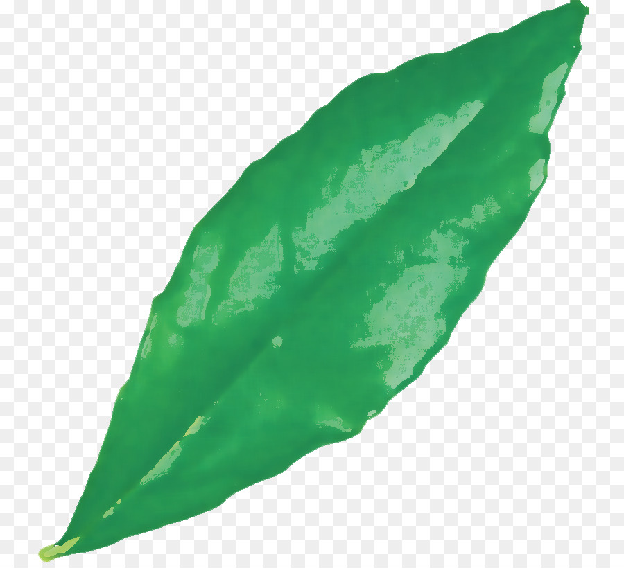 Feuille Verte，Usine PNG