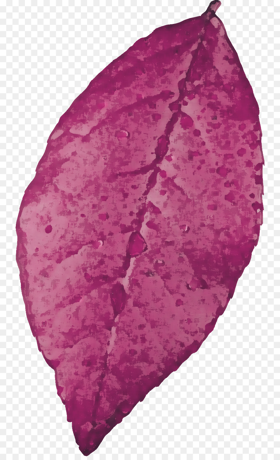 Feuille，Violet PNG